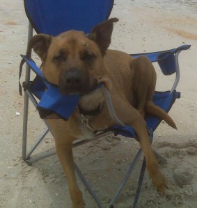 Toby Beach Chair