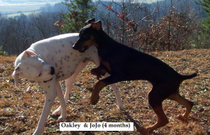 Oakley and JoJo 4 months