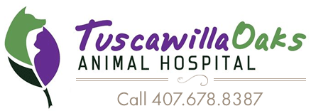 Veterinarians in Oviedo, Florida | Tuscawilla Oaks Animal Hospital