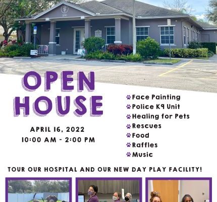 Open House 2022 Flyer